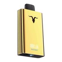 Ignite V120 Pro Gold Blueberry Mint