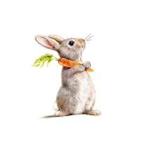 Servilletas de Papel PPD Rabbit & Carrot 233002619 33 X 33 CM 20 Unidades