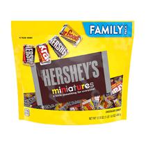 Ant_Chocolate Hershey s Miniatures Family Pack 498GR