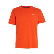 Camiseta Calvin Klein K10K109894 SB1