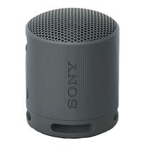 Sony Speaker SRS-XB100 Portatil Black