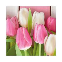 Servilletas de Papel PPD White & Pink Tulips 1332384 33 X 33 CM 20 Unidades