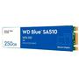 HD SSD M.2 250G WD Blue SA510 WDS250G3B0B .